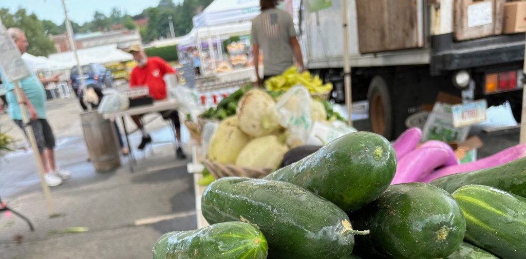 Photo of fresh cucumbers at The Bristol Farmers Market